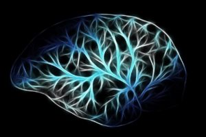 descubre en qué consiste la neuropsicología